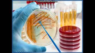 Diagnostic Techniques Part(2-Last) شرح