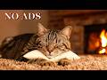 12 Hours Of Healing Music for Cats with Anxiety😻🎵 Deep Soothing Music for Anxious, Stressed Cats