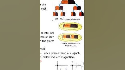 Bridge course 7th std science worksheet 25