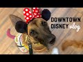 Downtown Disney Vlog | Checking out the new SD relief area!