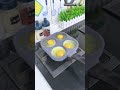 Making an egg omelette is very easy this pan