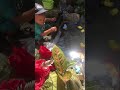 tangan adek al di gigit ikan lele