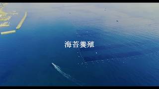 【淡路島フェイスブック掲載♩ドローン動画】海苔の養殖のワンシーンです♩