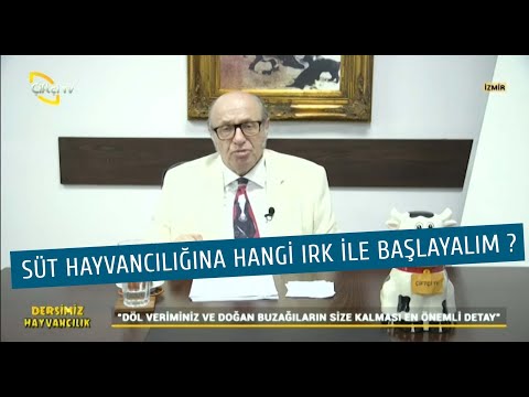 Video: Yavru İshalinizin Üstesinden Gelmek İçin Kolay (Doğal) Hile