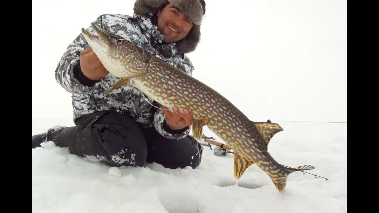 How to Fishing Northern Pike with Jaw Jacker and Rod Review YouTube