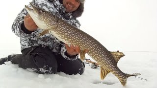 How to Fishing Northern Pike with Jaw Jacker and Rod Review