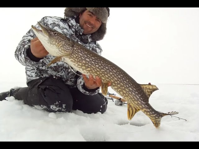 How to Fishing Northern Pike with Jaw Jacker and Rod Review 