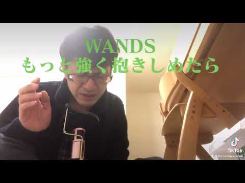 アカペラで歌ってみた　WANDS もっと強く君を抱きしめたなら　下手くそ視聴注意