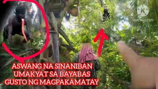 PART4 NAABUTAN KO ANG ASWANG NASA TAAS NG BAYABAS SINANIBAN NA GUSTO NG MAGPAKAMATAY