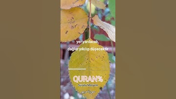 وقالو اتخذ الرحمن ولدا خالد الجليل تلاوات خاشعه حالات واتس ابmeryem surasi halid celil