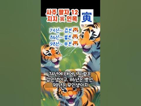 사주 팔자 12지지 寅 인목 #호랑이띠 - Youtube