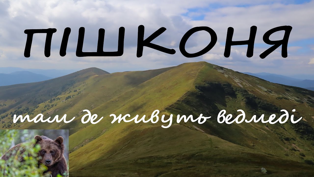 Зустріч з ведмедями у Карпатах. Похід через хребет Пішконя. Небезпечні і безлюдні місця Карпат