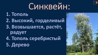 Чтение 3 класс. Серебристый тополь.