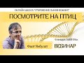 Посмотрите на птиц. Фаат Янбулат. Вебинар