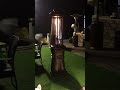 Patio heater