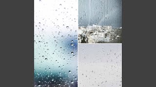 Number One Backdrops for Winter Rain