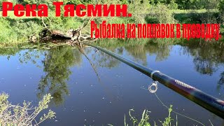 Река Тясмин.Рыбалка на поплавок в проводку.