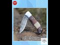 Ironclad Pocket Knife with Rosewood &amp; Bone Scales