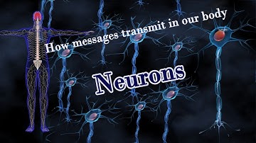 Inside your Brain-Neurons. how messages transmits  from  1 place to another in our body