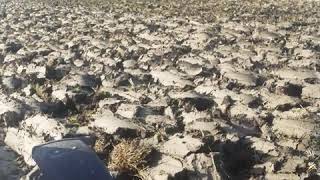 2075 Yer Sürme Çeltik Altı Case 75 Lik Yer Sürme