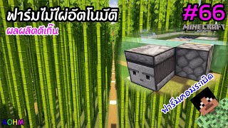 ฟาร์มไม้ไผ่อัตโนมัติ #66 | Minecraft เอาชีวิตรอด 1.21