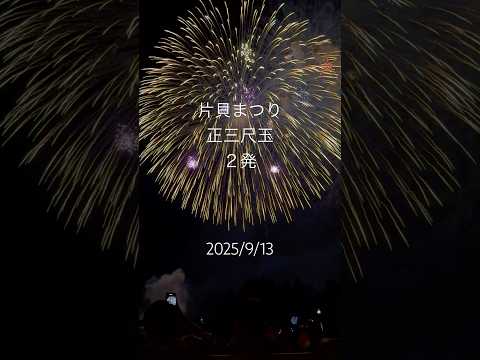 🎇片貝まつり2025🎇翡翠会奉納 スターマインからの正三尺玉 新潟県小千谷市片貝が誇る世界一の正四尺玉 #花火 #片貝 #新潟 #四尺玉 #fireworks #HANABI