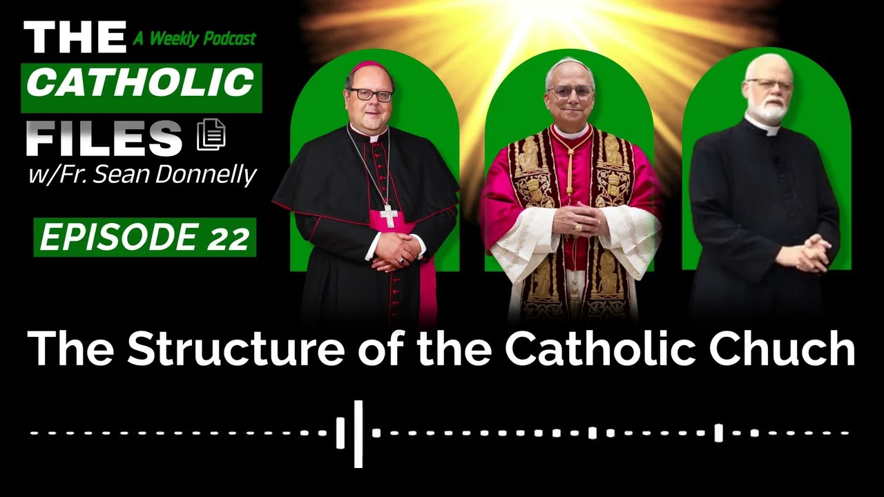 The Catholic Files: The Structure of the Catholic Church