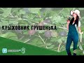 Крыжовник Грушенька