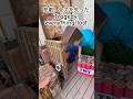 悲劇、蜘蛛のせいで全てを失った。Tragedy, I lost everything because of the spider minecraft マイクラ TNT