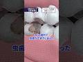 セラミック治療が虫歯になると？#歯医者 #セラミック #審美歯科