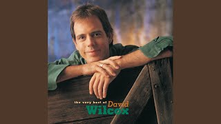 Miniatura del video "David Wilcox - The Kid"