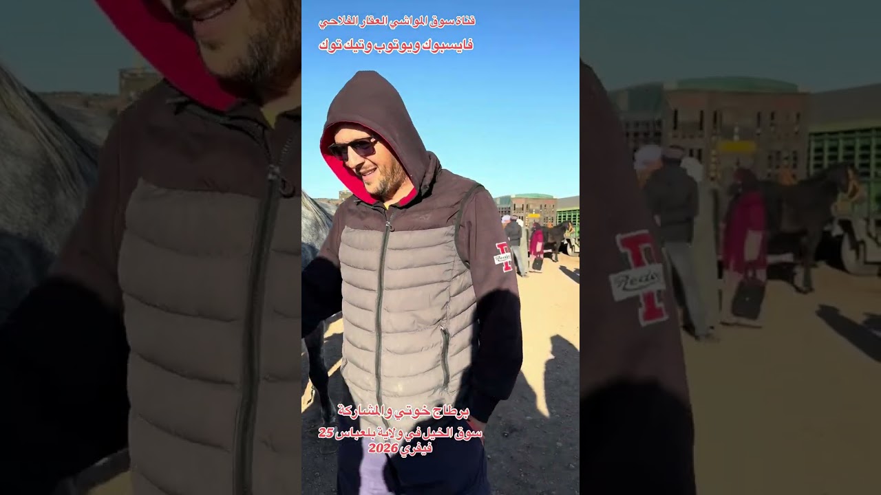 27 février 2026 سوق الخيل في ولاية بلعباس 
