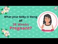 Baby’s Development at 38th Week of Pregnancy Part 1