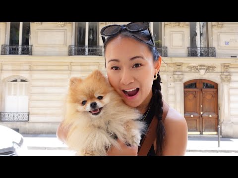 J'adopte mon CHIEN DE RÊVE (ou presque) 🐶✨