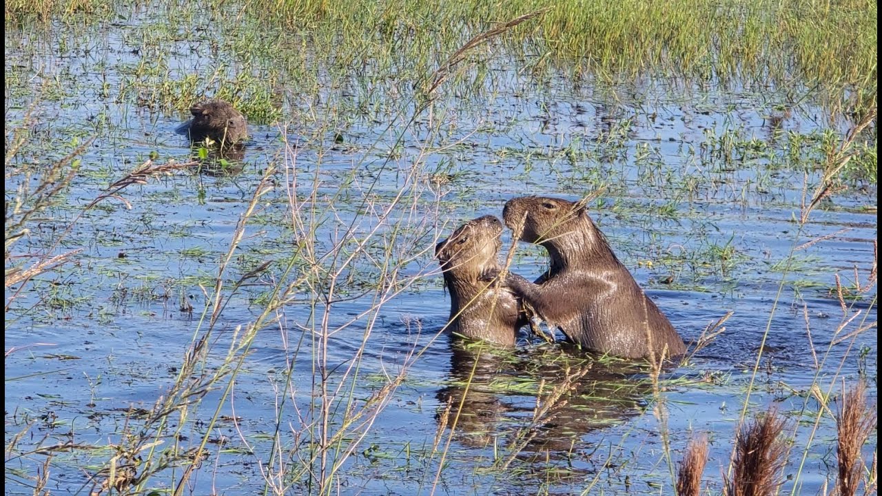 FT12 5 Argentinien - der Nordosten