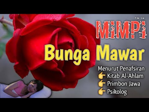 Video: Ketahui Lebih Lanjut Tentang Menimbulkan Bunga Mawar