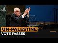 UNGA votes in favour of expanding Palestine&#39;s rights | Al Jazeera Newsfeed