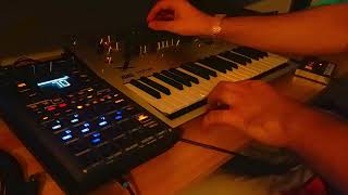 NOSTALGIA &amp; AMBIENT JAM -KORG MINILOGUE+SP404 MK2