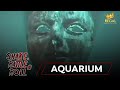 SHAKE RATTLE & ROLL | EPISODE 17 | AQUARIUM