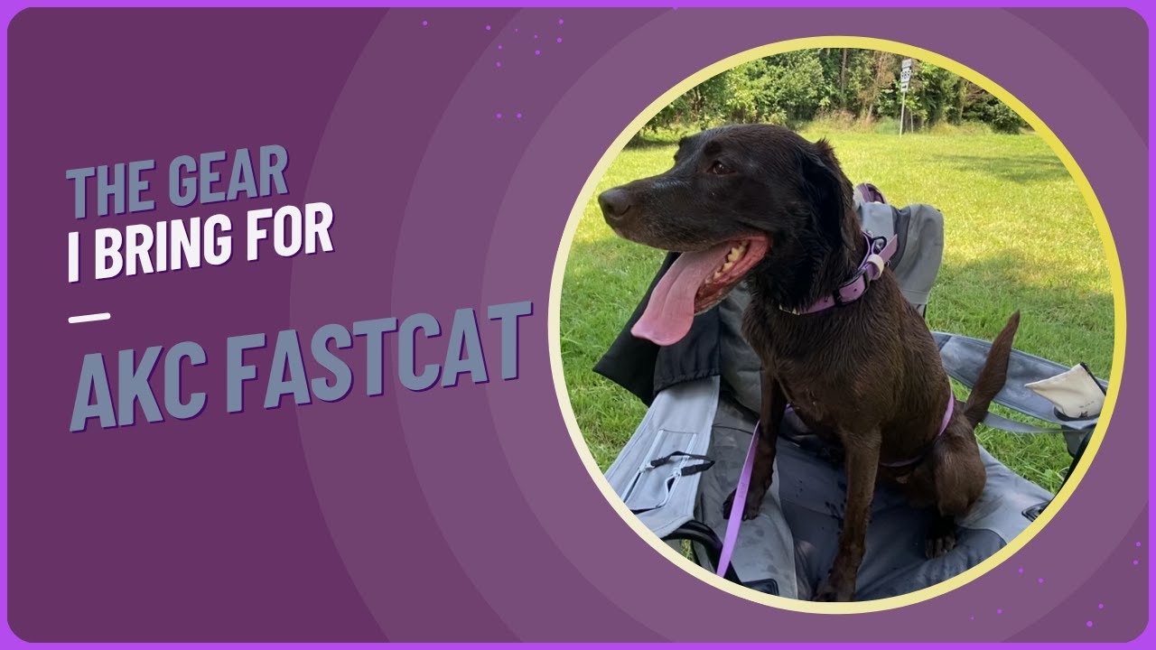 Our FastCAT Gear Essentials — Stay Cool & Ready to Run!