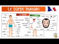 Learn French Parts Of The Human Body In French French Vocabulary In Pictures 