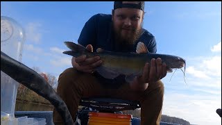 Catfishing on the Savannah River