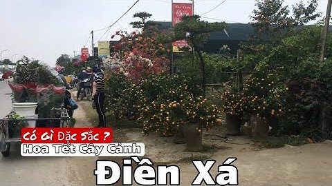 Hoa Cây Cảnh Tết Điền Xá Nam Trực Nam Định Có Gì Đặc Sắc | Tân K71