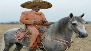 EL POTRO LOBO GATEADO VICENTE FERNANDEZ