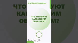 Угадай кто! 208 серия быстрых расследований от Квиза Детективные Головоломки #quiztory #квиз