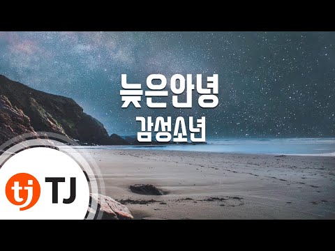 Capa de [TJ노래방] 늦은안녕 - 감성소년(SENTIMENTAL BOY) / TJ Karaoke