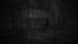 NHND - Kalte Nächte, kalte Tage