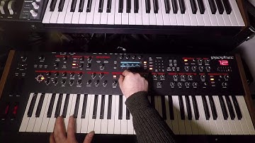 Prophet Sunday with the DSI Prophet 12- Episode 2: Vintage Pulsewidth Lead