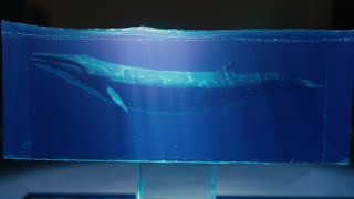 Sei Whale diorama | Resin Art | miniature