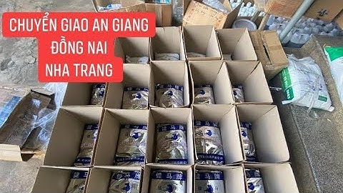 Cám bột kết dính 50 đạm cho Lươn - cá chình - cá chạch - cá cảnh | 08 39 79 26 79 | Ship Toàn Quốc
